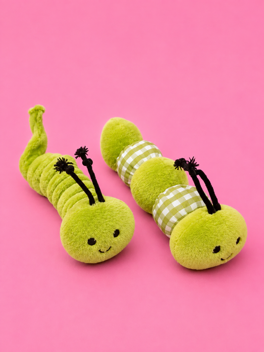 Happy pet tabby patch caterpillars