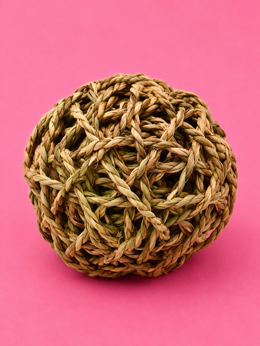 Happy pet grassy ball