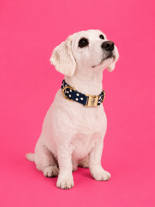 Halsband Blueberry
