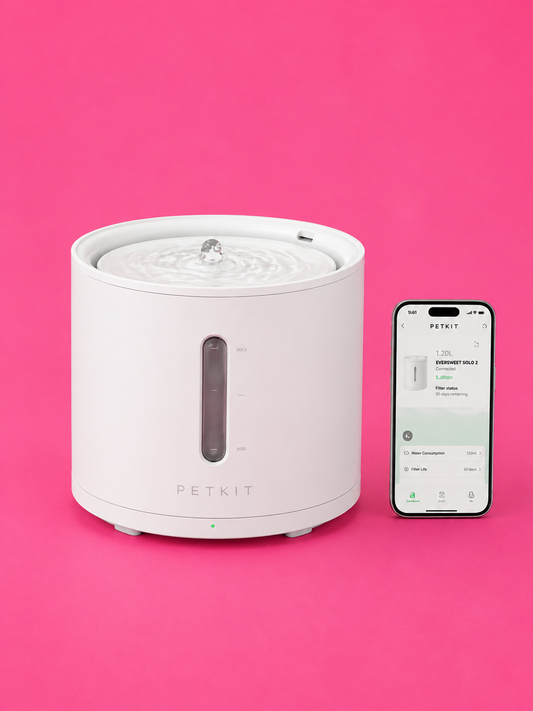 EverSweet Solo 2 Pet Water Fountain