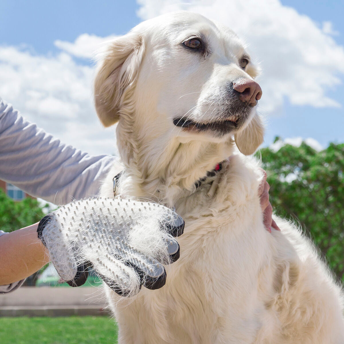 Pet Brush & Massage Glove Relpet InnovaGoods-0