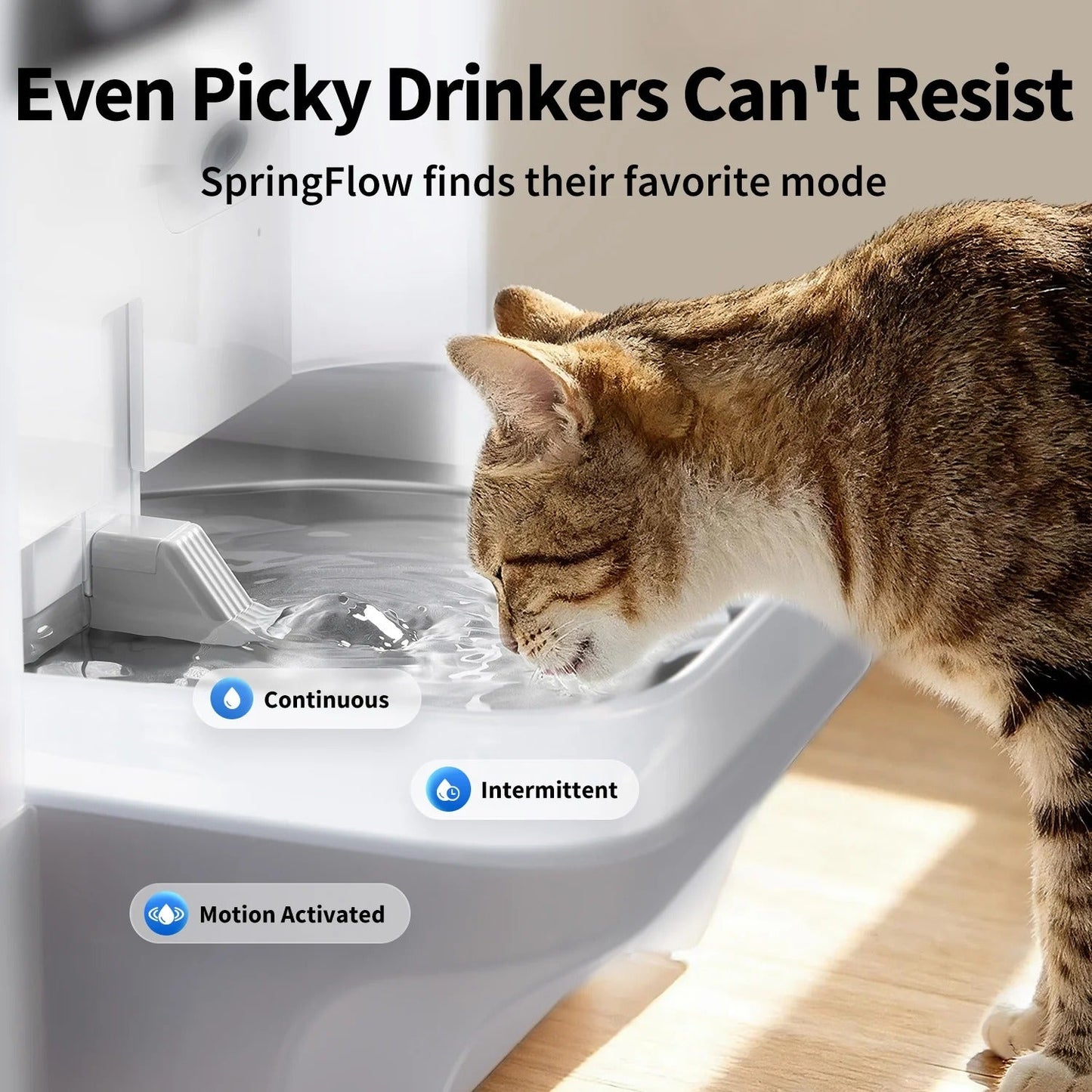 EverSweet Ultra with Camera Pet Water Fountain